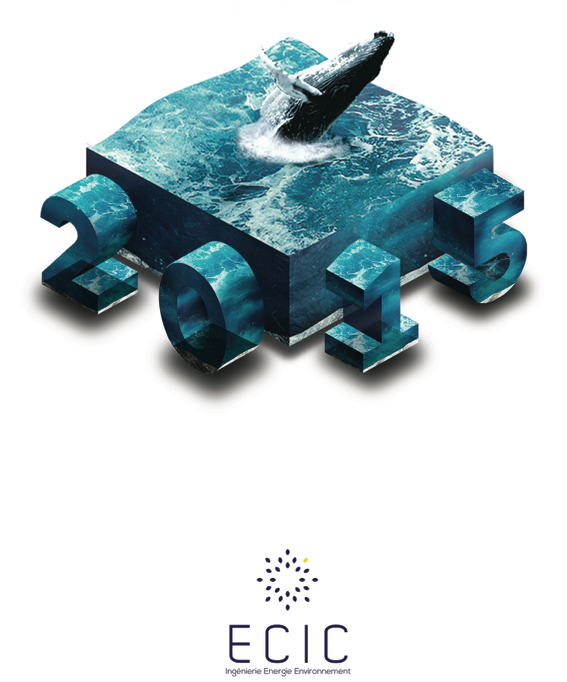 Belle année 2015 - ECIC