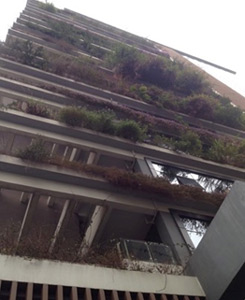 Façade végétale immeuble IBR