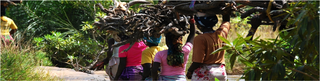 Association Projets Solidaires