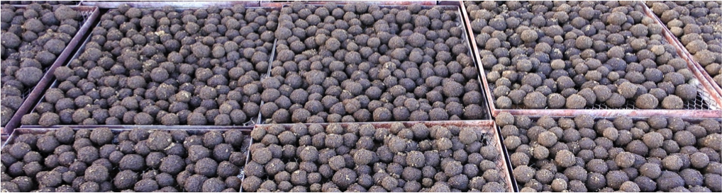 Association Projets Solidaires